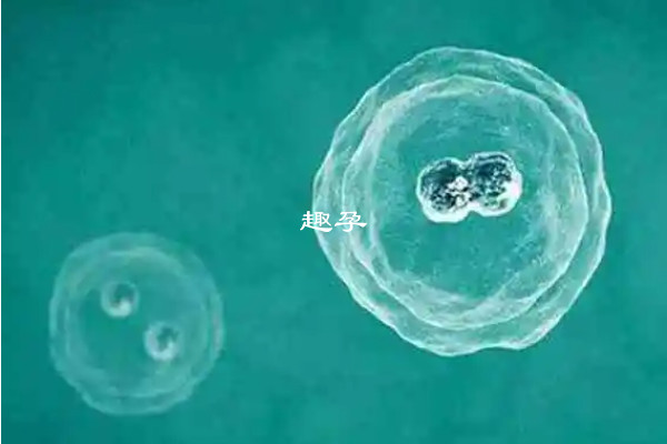 少精死精可以做二代試管嬰兒