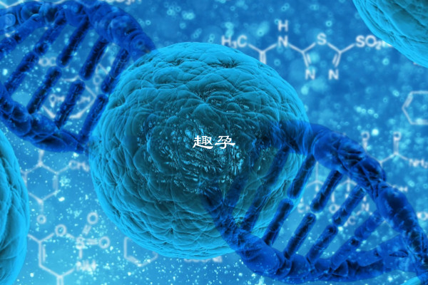 三代試管出現宮外孕的原因