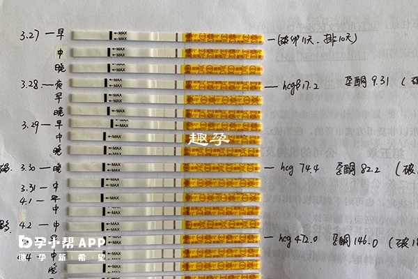 验孕棒品牌秀儿和金秀儿的差异性罗列：主要在于这三方面！