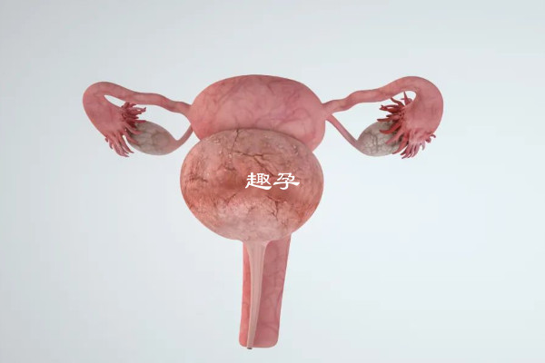 內膜大於7就能移植