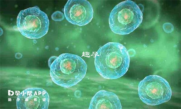 降調45天不能促排是因為沒有達到降調標準