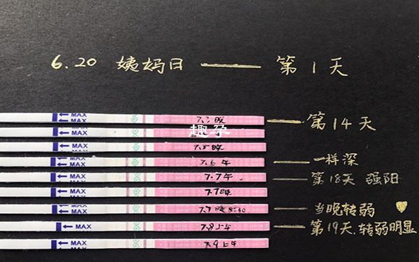 同房過後用排卵試紙測出強陽性可能是受精卵著床了