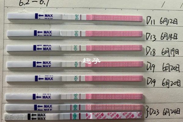 大卫排卵试纸检测结果比较准确